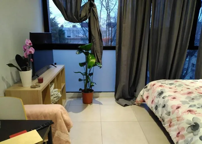 Studio De L\'Orchidee