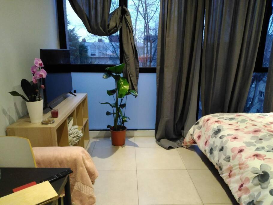 De L'orchidee
